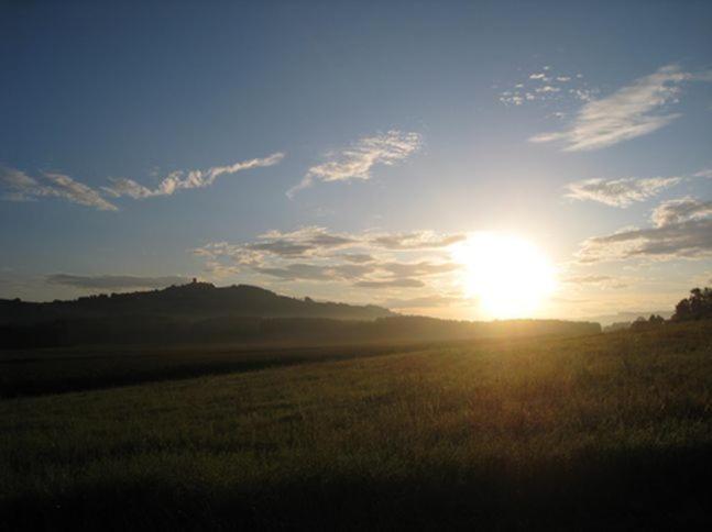 Domaine Des Buis Hotel Albon Luaran gambar